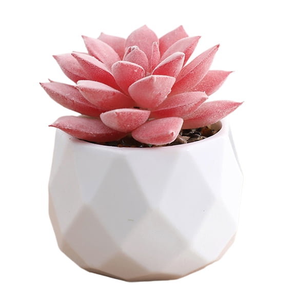 Mini Artificial Succulent Plants in Plastic Pots – Indoor Office Decor Fake Plants, Low Maintenance, Elegant Home & Gift Accessories