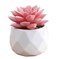 thumbnail image 1 of Mini Artificial in Plastic Pot - Fake Plants for Indoor Office Home Decor, Perfect Gift for Women, Low Maintenance Faux Plant for Kitchen, Living Room, Bedroom, and More, 1 of 6