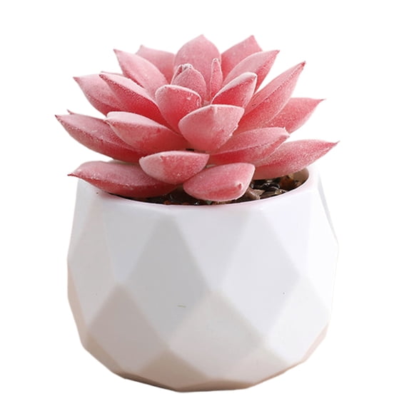 Mini Artificial in Plastic Pot - Fake Plants for Indoor Office Home Decor, Perfect Gift for Women, Low Maintenance Faux Plant for Kitchen, Living Room, Bedroom, and More