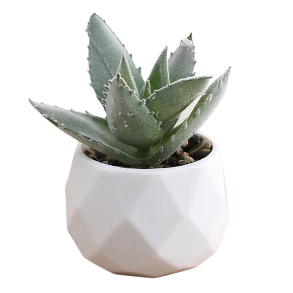 Mini Artificial Succulents in Pots Fake Plants for Indoors,Office Home Decor Gifts,Faux Plants for Shelf/Desk/Bathroom/ Windowsills/Living Room/Bedroom Decoration