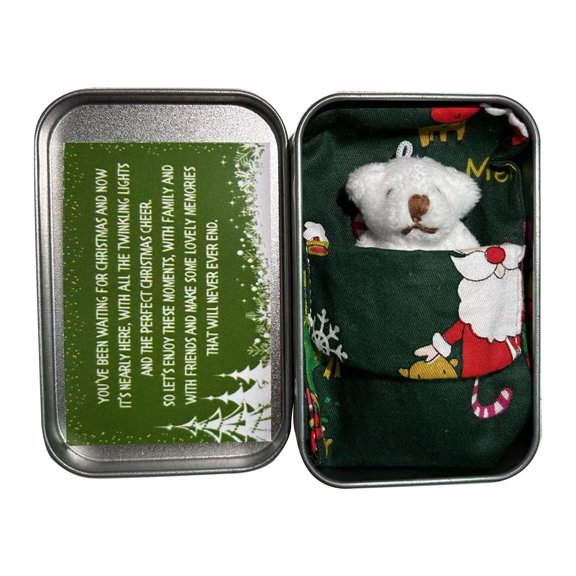 Mini Bear Plush Toy Christmas Pocket Bear Hug in a Tin Box Little Bear Doll for Children Stuffed Bear Doll New Year Gift