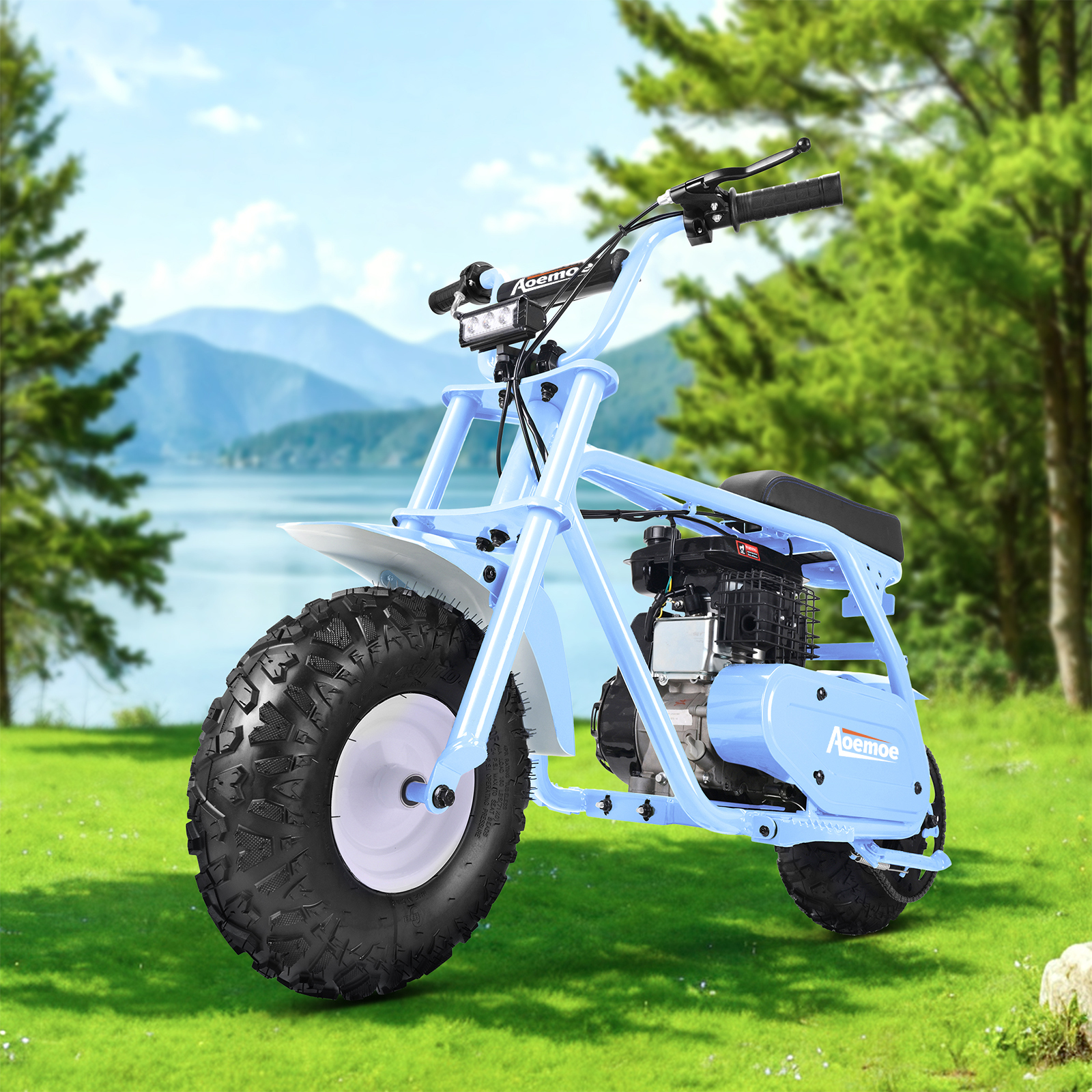 Mini Bike, Gas Dirt Bike, Minibike, Gas Powered Mini Bikes for Adults ...