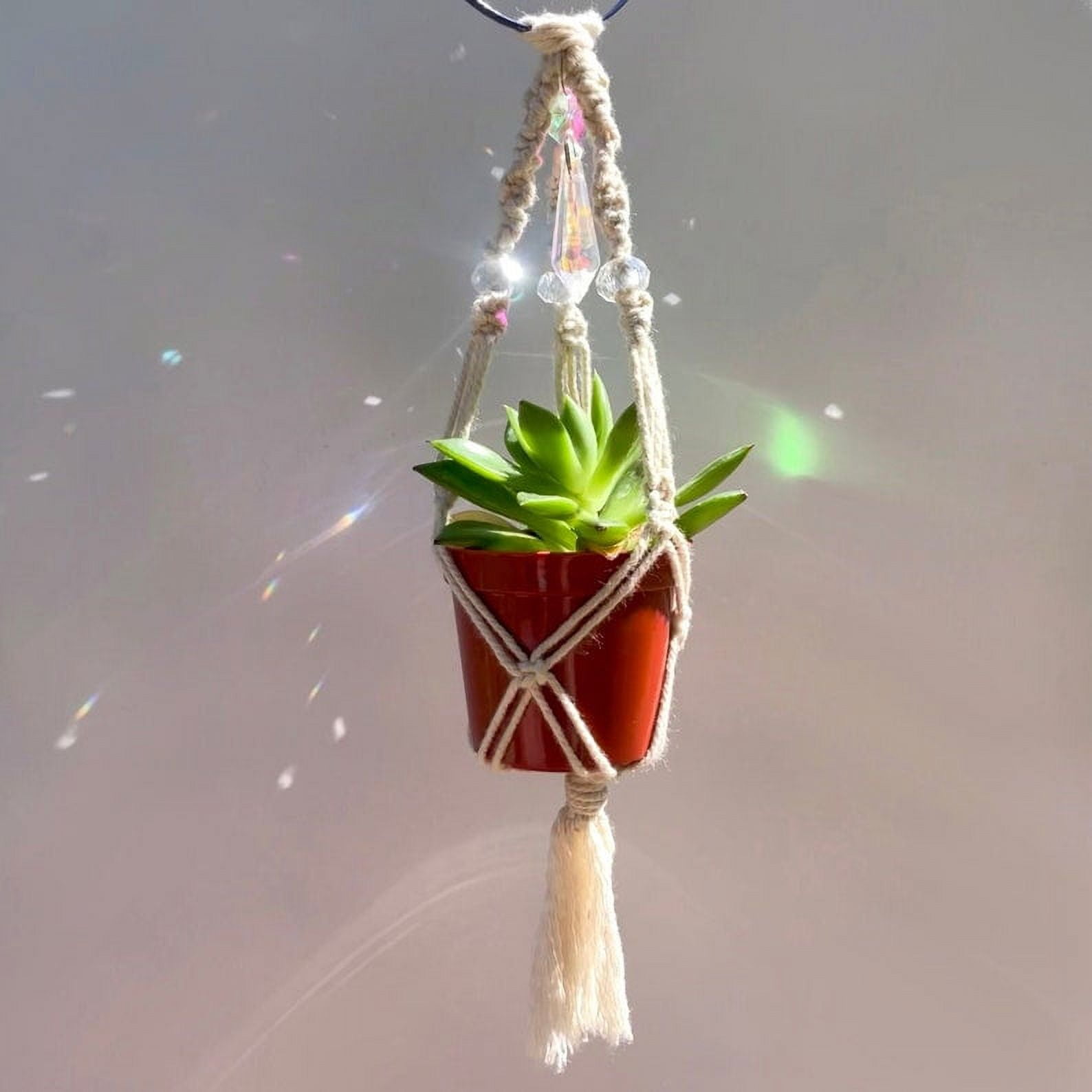 Mini Boho Macrame Plant Hanger, Small Minimalist Plant Lover Home Decor