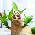 thumbnail image 1 of Mini Brazil Lucky Tree Resin Panda Statue for Lucky Brazilian Wood Hydroponic Plant Pandas Table Decoration, Funny Tabletop Decor Indoor Office Desktop Ornament, 1 of 6