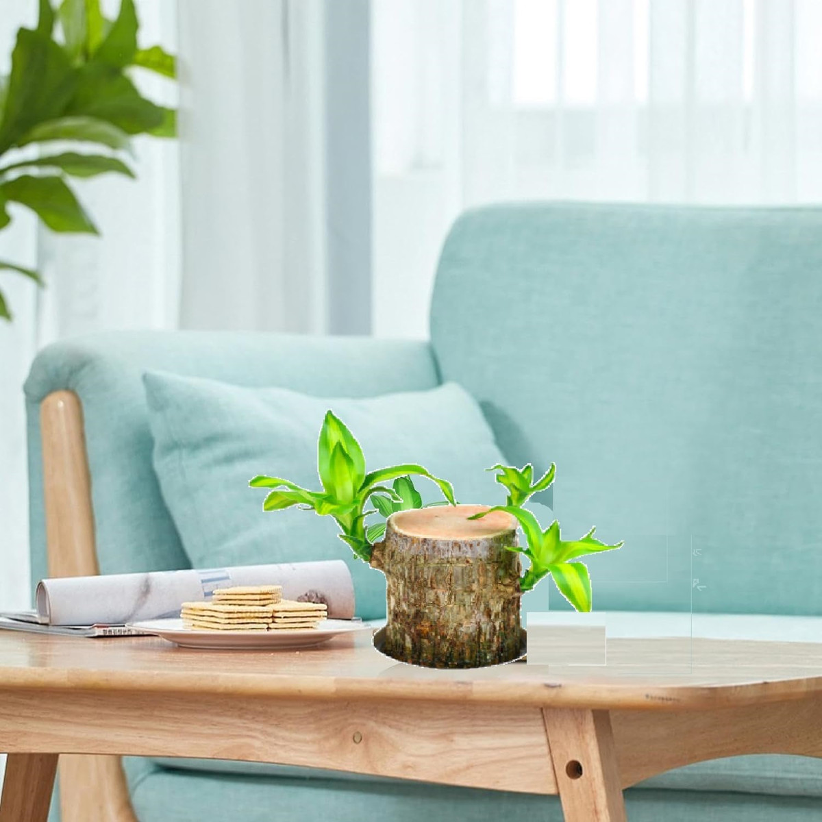 Mini Brazil Lucky Wood, Brazilian Wood Decor, Brazilian Lucky Wood