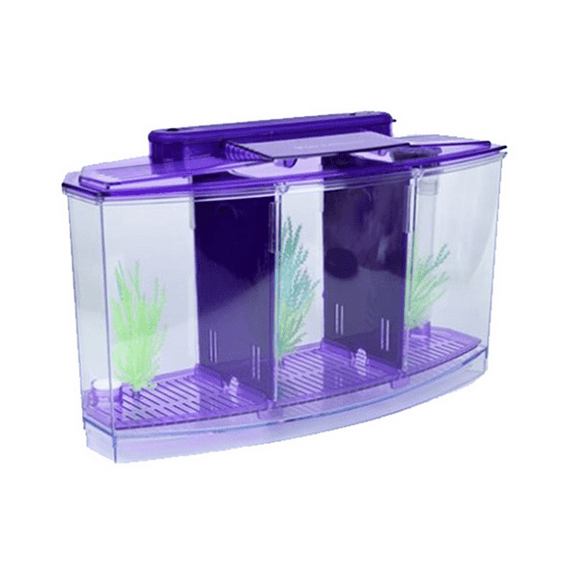 Mini Breeding Fish Tank Aquarium Fish Tank LED Acrylic Three Divisions Breeding Isolation Box for Small Fishes ,1 x Mini Breeding Fish Tank,Purple