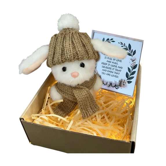 Mini Bunny Gift Plush Bunny in a Box Hugs Positive Bunny Stuffed Animal Rabbit Soft Floppy Easter Ideas Bunnies Basket Stuffers Doll