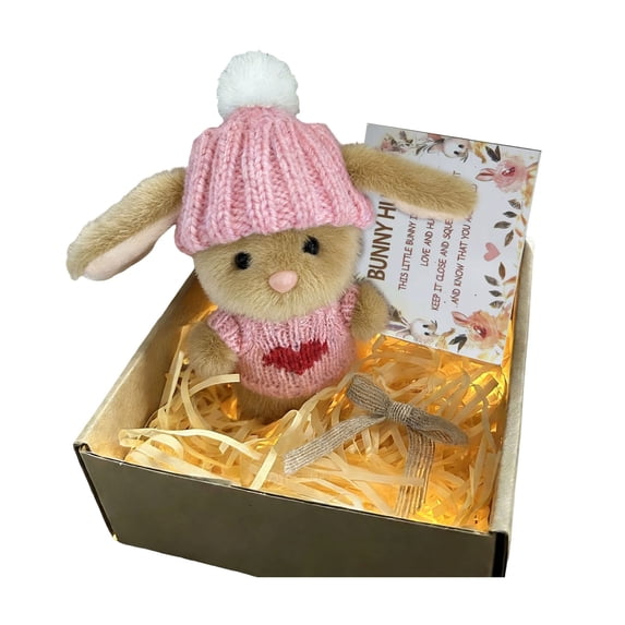 Mini Bunny Gift Plush Bunny in a Box Hugs Positive Bunny Stuffed Animal Rabbit Soft Floppy Easter Ideas Bunnies Basket Stuffers Doll
