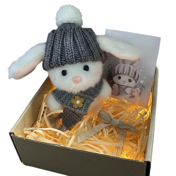 Mini Bunny Gift Plush Bunny in a Box Hugs Positive Bunny Stuffed Animal Rabbit Soft Floppy Easter Ideas Bunnies Basket Stuffers Doll