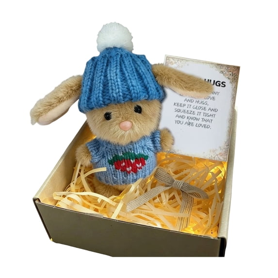 Mini Bunny Gift Plush Bunny in a Box Hugs Positive Bunny Stuffed Animal Rabbit Soft Floppy Easter Ideas Bunnies Basket Stuffers Doll