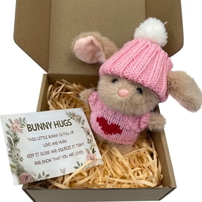 Mini Bunny Hug Cute Easter Gift with Card, 2026 New Soft Plush Rabbit, Handmade Mini Bunny Hugs in Box, Stuffed Animals Toys Easter Basket Stuffer for Mother's Day, Valentine's Day, Birthday Pink