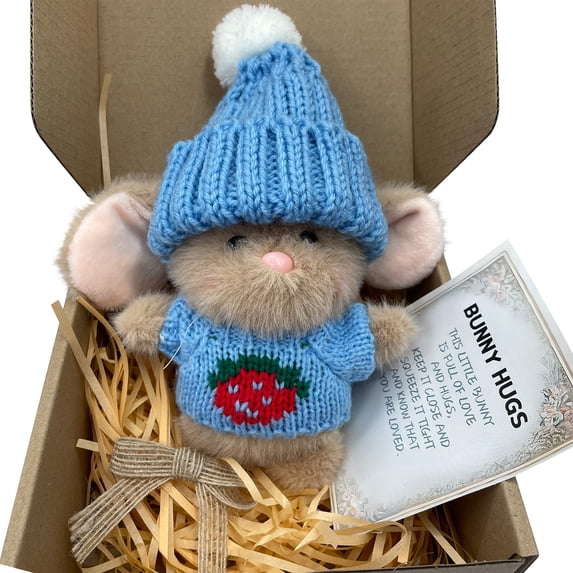 Mini Bunny Hug Cute Easter Gift, Handmade Emotional Support Cute Bunny Plush in A Box with Card, Soft Pocket Rabbit Motivational Doll Decor, Stuffed Animal Gifts for Easter Basket - (Sky Blue)