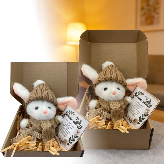 Mini Bunny Hug Cute Easter Gift, Little Bunny Hug Pocket Hug, Cute Handmade Mini Emotional Support Rabbit with Gift Box&Card, Bunny in a Box, Pocket Hug Rabbit with Knitted Hat & Pom Pom