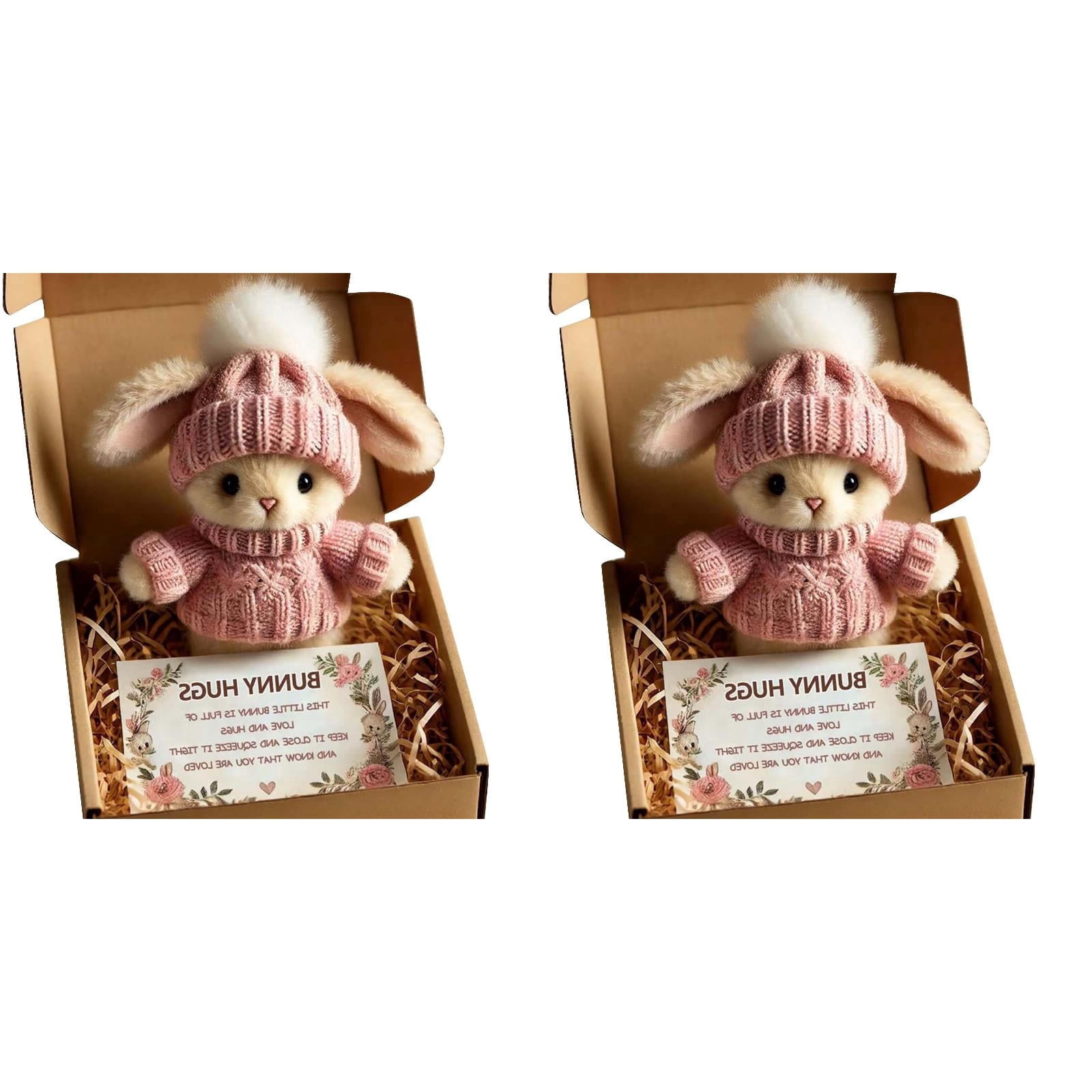 Mini Bunny Hug Cute Easter Gift Plush 2025 Bunny in a Box Hugs Positive Bunny Stuffed Animal Rabbit Soft Floppy Easter Ideas Bunnies Basket Stuffers Doll Emotional Support Inspirational Gifts