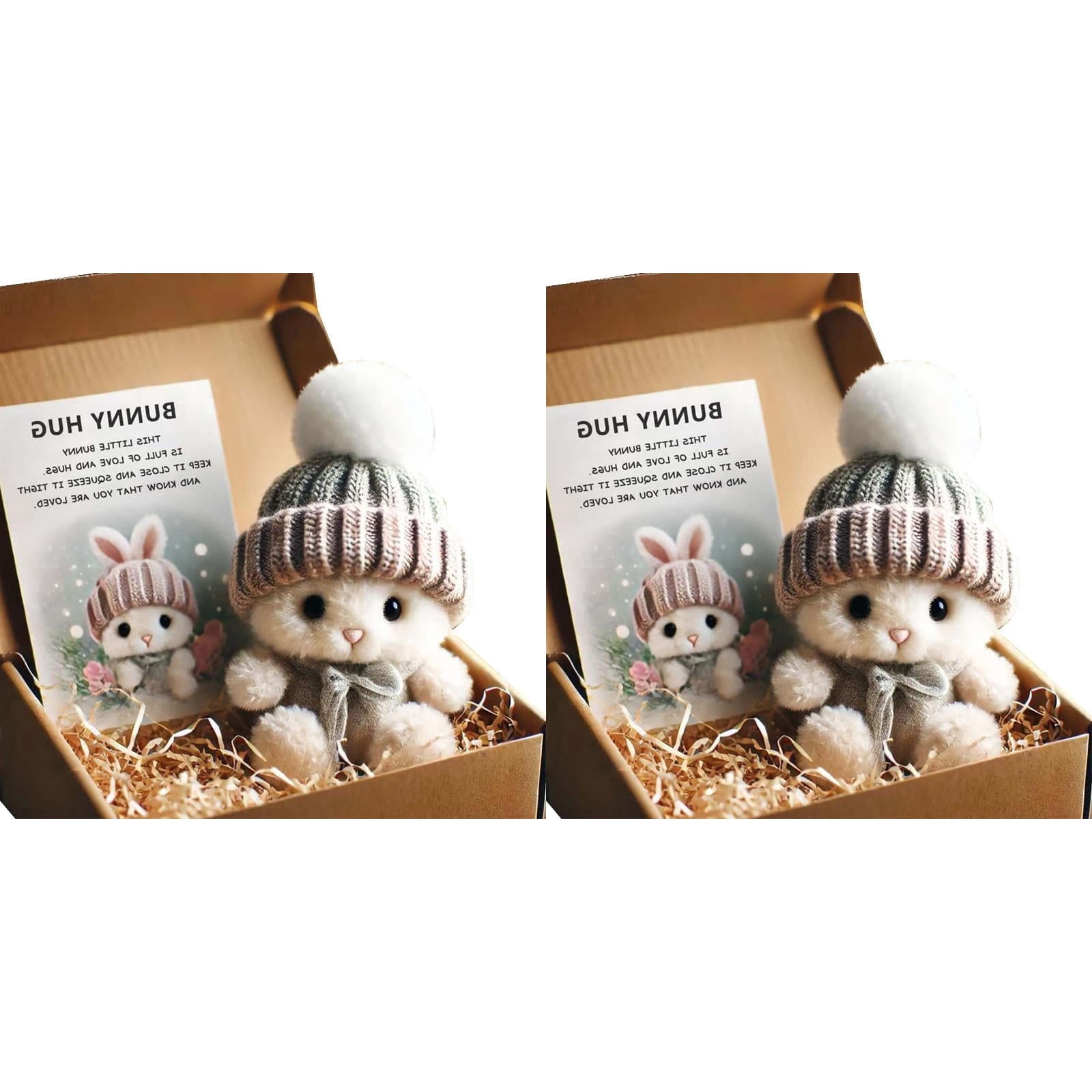Mini Bunny Hug Cute Easter Gift Plush 2025 Bunny in a Box Hugs Positive Bunny Stuffed Animal Rabbit Soft Floppy Easter Ideas Bunnies Basket Stuffers Doll Emotional Support Inspirational Gifts