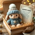 thumbnail image 1 of Mini Bunny Hug Cute Easter Gift Plush 2025 Bunny in a Box Hugs Positive Bunny Stuffed Animal Rabbit Soft Floppy Easter Ideas Bunnies Basket Stuffers Doll Emotional Support Inspirational Gifts, 1 of 5