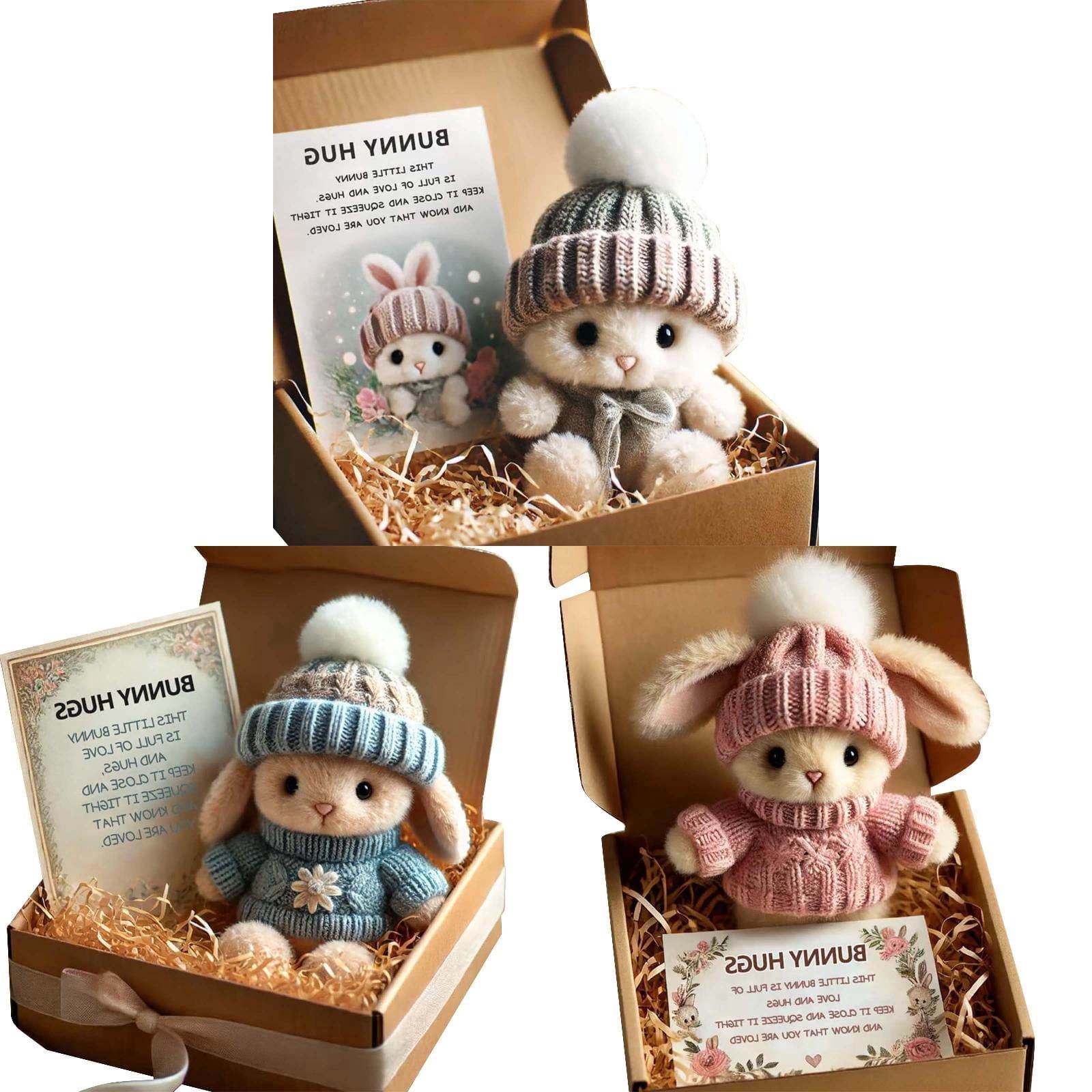 Mini Bunny Hug Cute Easter Gift Plush 2025 Bunny in a Box Hugs Positive Bunny Stuffed Animal Rabbit Soft Floppy Easter Ideas Bunnies Basket Stuffers Doll Emotional Support Inspirational Gifts