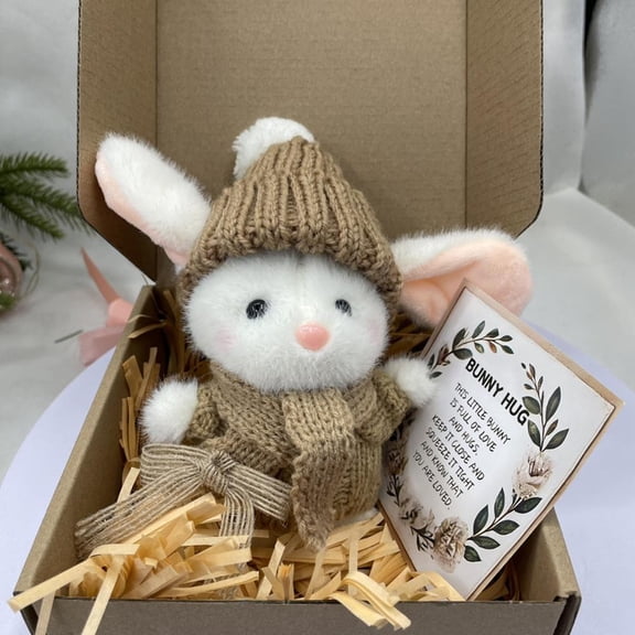 Mini Bunny Hug Cute Easter Gift Plush 2025 Bunny in a Box Hugs Positive Bunny Stuffed Animal Rabbit Soft Floppy Easter Ideas Bunnies Basket Stuffers Doll Emotional Support Inspirational Gifts