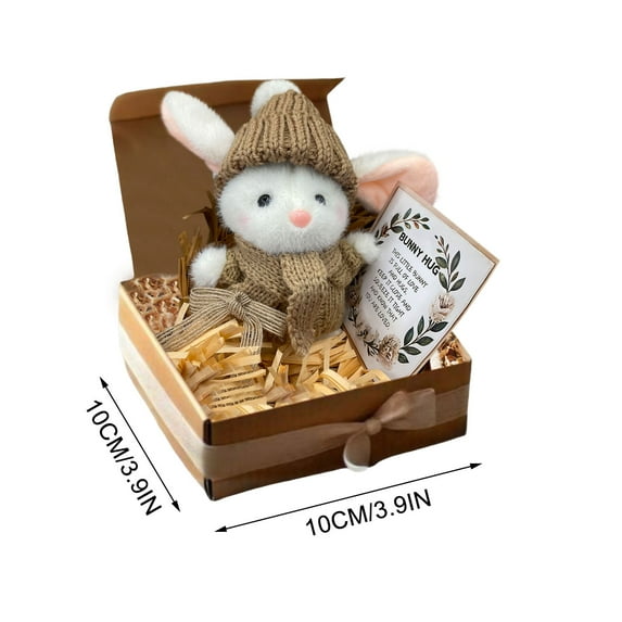 Mini Bunny Hug Cute Easter Gift Plush 2025 Bunny in a Box Hugs Bunny Stuffed Animal Rabbit Soft Easter Bunnies Basket Stuffers Doll Gifts