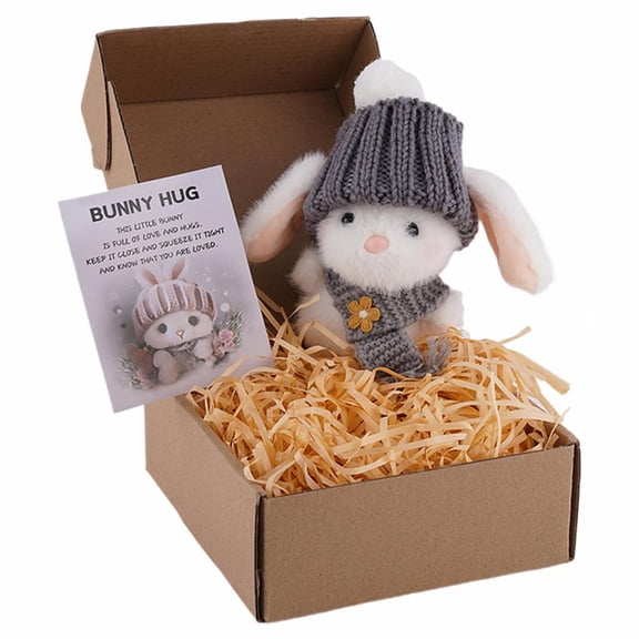 Mini Bunny Hug Cute Easter Gift, Pocket-Size Emotional Support Plush Rabbit in Box with Inspirational Card, Soft Stuffed Animal for Women Men, Easter Basket Stuffer for Friends Family