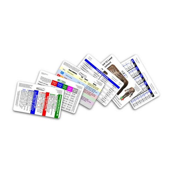 Mini CNA 6 Card Horizontal Badge Reference Set