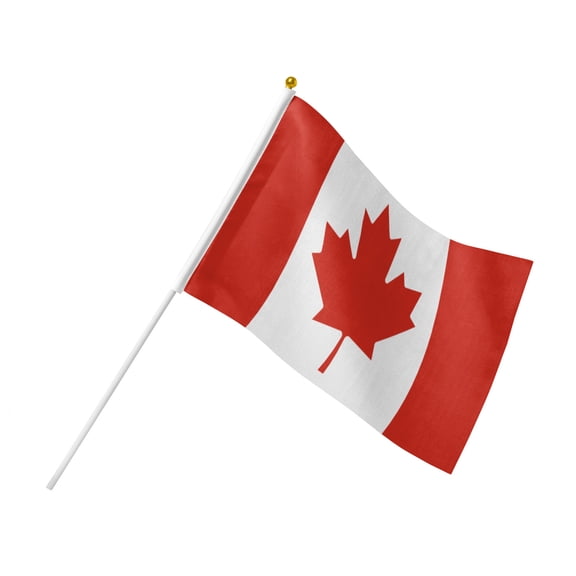Mini Canada Hand Held Flags on Stick, 5.5x8.2" 6 Count - Perfect for Canada Day Celebrations & Cultural Events