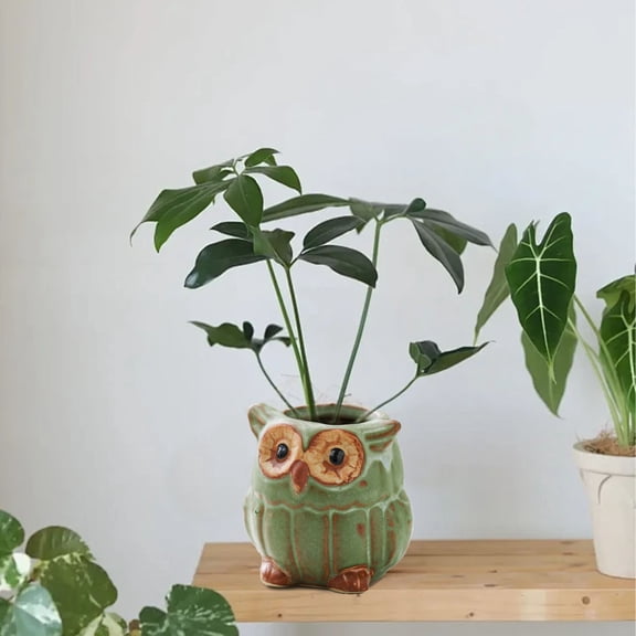 Mini Ceramic Owl Animal Planter Pot, Cute Cartoon Flower Plant Container for Desk Home Garden, 1 Pot