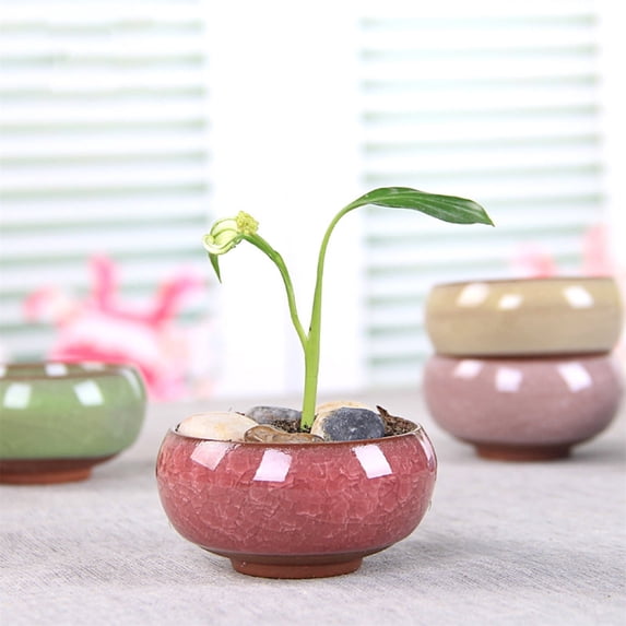 Caramic Pot Mini Ceramic Succulent Planter with Drainage Hole, Small Porcelain ...