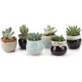 thumbnail image 1 of Mini Ceramic Succulent Pots with Drainage - Set of 6, Tiny Pots for Plants, Home and Office Decor, Plant Lover Gifts for Women, 1 of 9