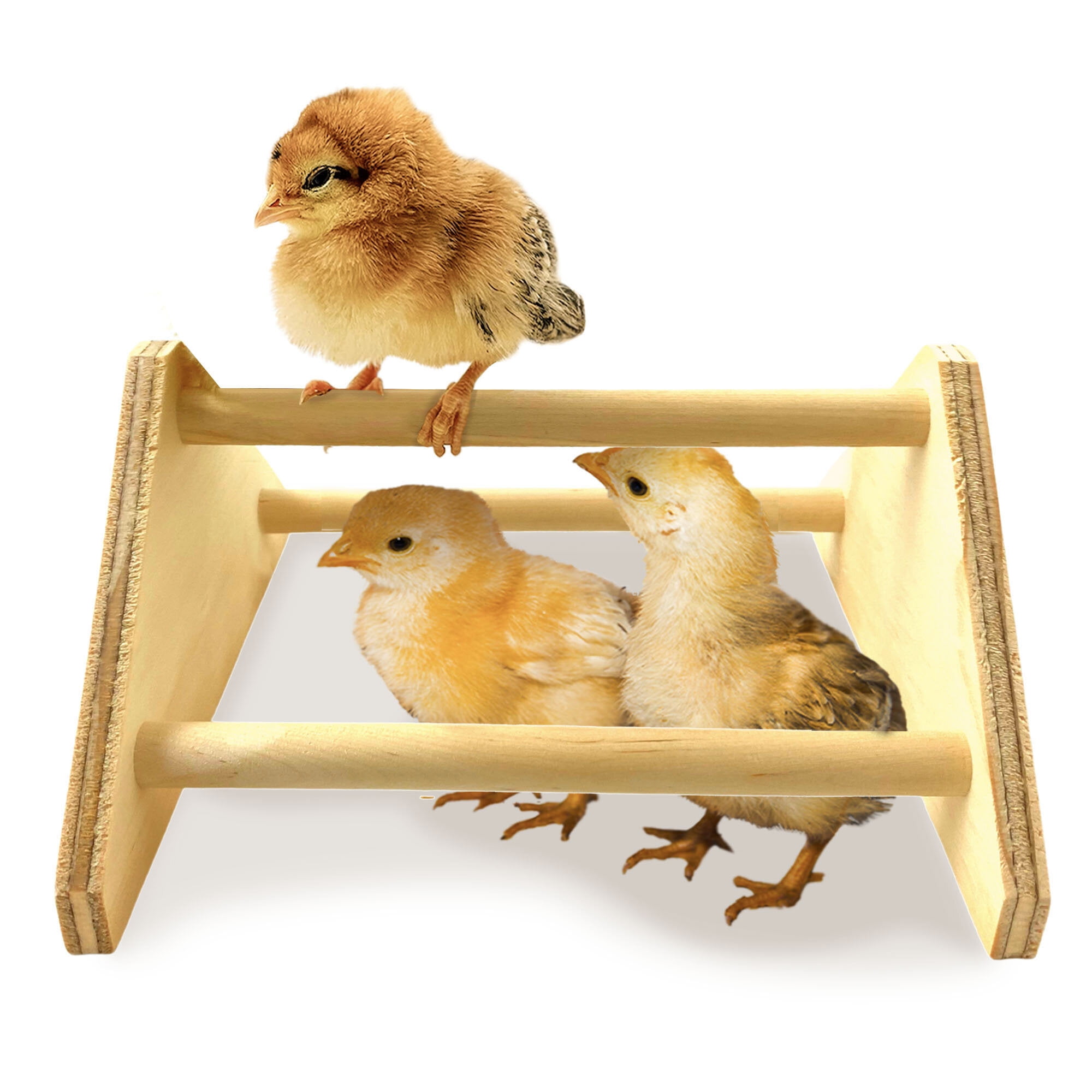 Mini Chick Perch Chick Bird Perch Strong Wooden Jungle Gym Roosting Bar Made in USA!!! Chicken Toys for Coop and Brooder for Baby Chicks El Pollitos Chook La Pollita Pollos Gallinas Polluelos