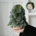 thumbnail image 1 of Mini Christmas Trees, Palm-sized Artificial Fokson Spruce Trees Desktop Small Pine Trees with Wooden Base for Home Christmas Decor 7in, 1 of 6
