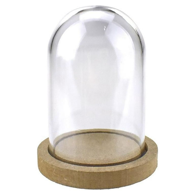 Plastic Dome Display Case w/ Clear Base, 6-Inch, Medium