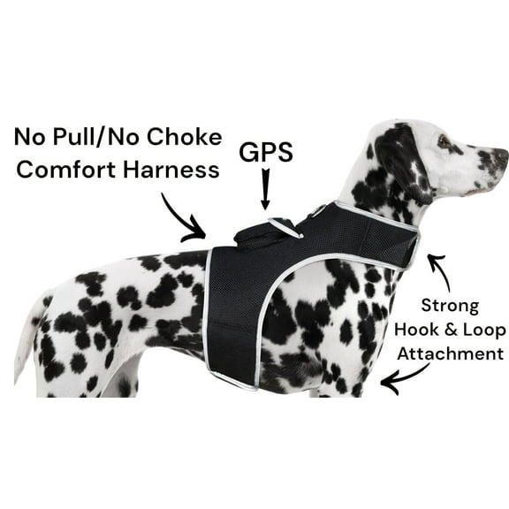 Mini Dog Tracking Chip Waterproof GPS GSM Pet Finder + Movement Sensor Size:XL