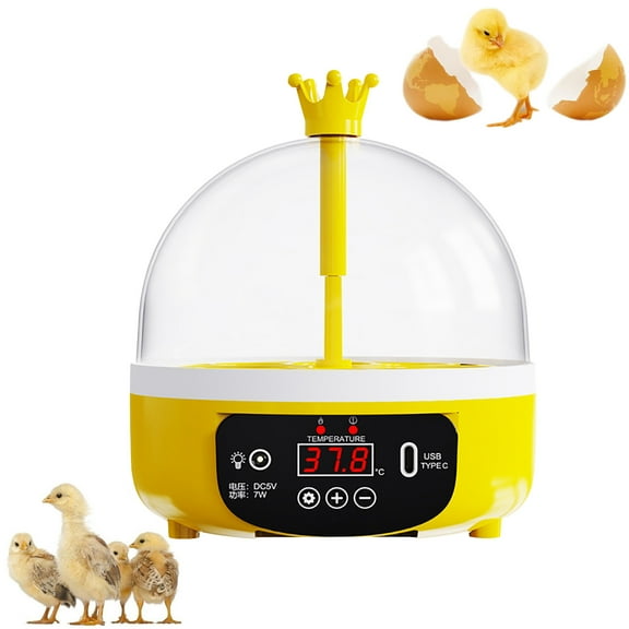 Mini Egg Incubator for Hatching Poultry Chick Hatcher with Automatic Temperature controls Small Household Intelligent Incubator for Chicken Duck Quail Eggs Viewing Window for Science 18x13.7cm