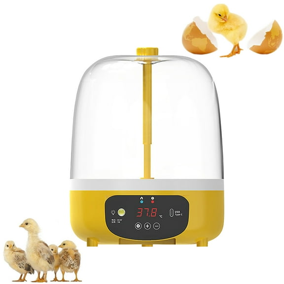 Mini Egg Incubator for Kids Home Use Smart Automatic Chicken Duck Quail Egg Hatcher with Clear Lid for Educational Science Projects Transparent Viewing