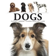 Mini Encyclopedias Dogs, (Paperback)