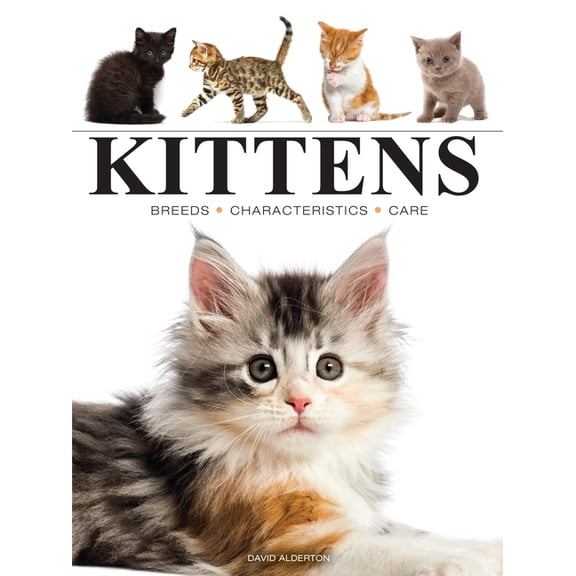 Mini Encyclopedias Kittens, (Paperback)