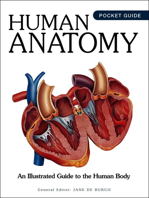 Human Dissection Guide Mini Encyclopedias Human Anatomy: An Illustrated Guide to the Human ...