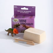 Mini Excavation Kit Dinosaurs