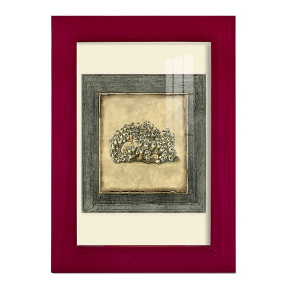 Mini Exotic Coral I (U) - Framed Print w/glass - Cherry Red