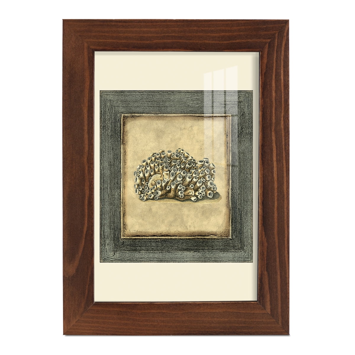 Mini Exotic Coral I (U) - Framed Print w/glass - Chestnut