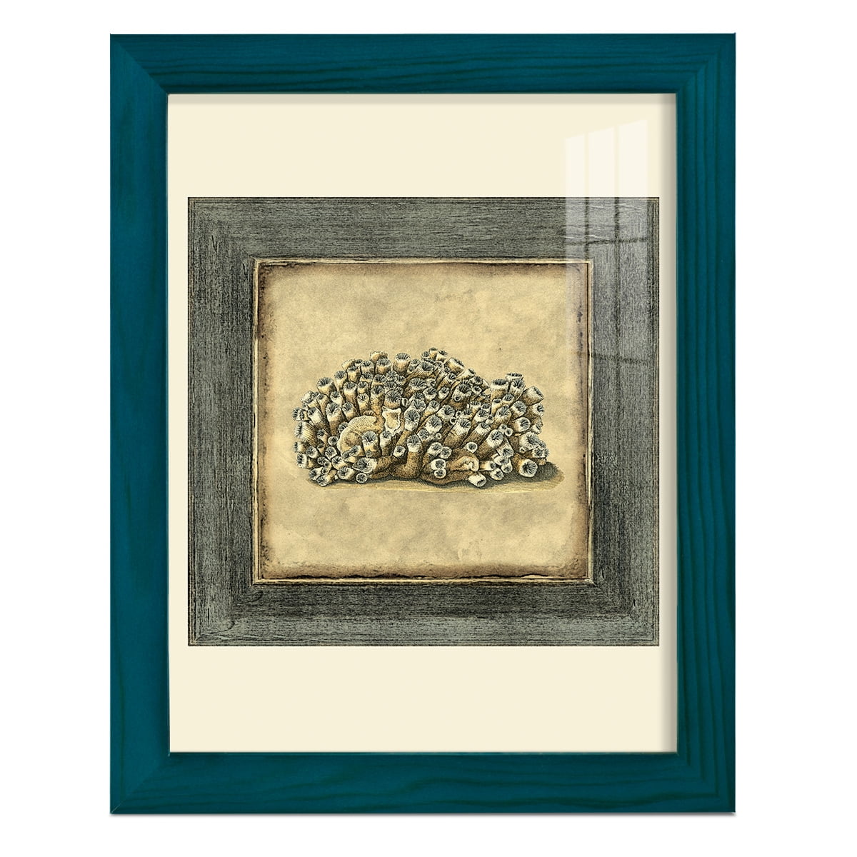 Mini Exotic Coral I (U) - Framed Print w/glass - Ocean Blue