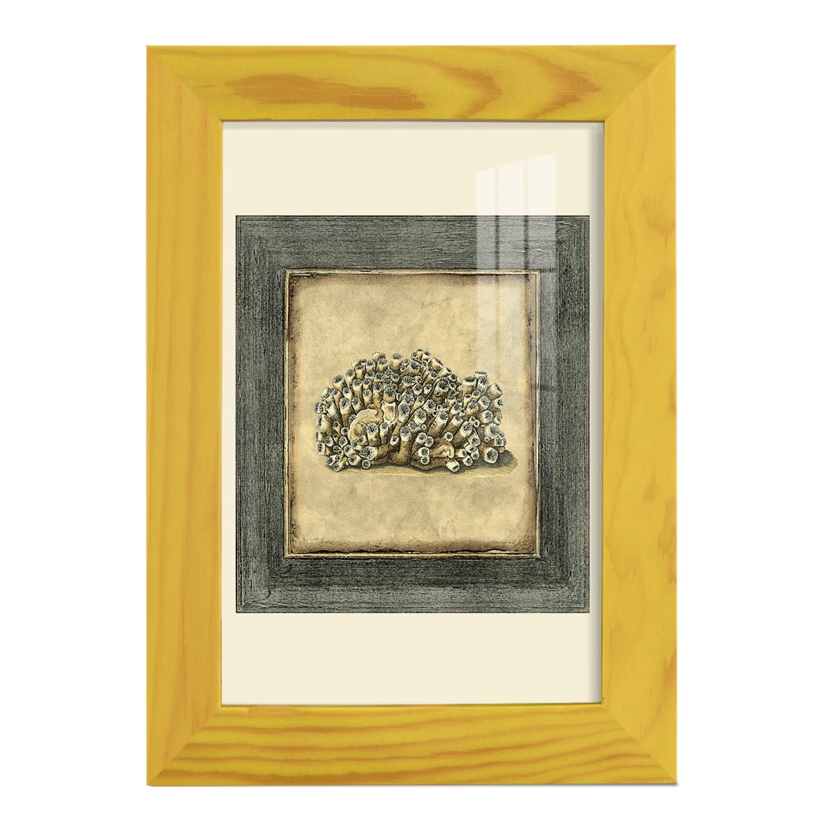 Mini Exotic Coral I (U) - Framed Print w/glass - Sunflower Yellow