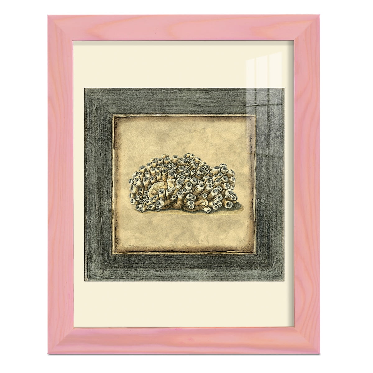 Mini Exotic Coral I (U) - Framed Print w/glass - Sunset Pink