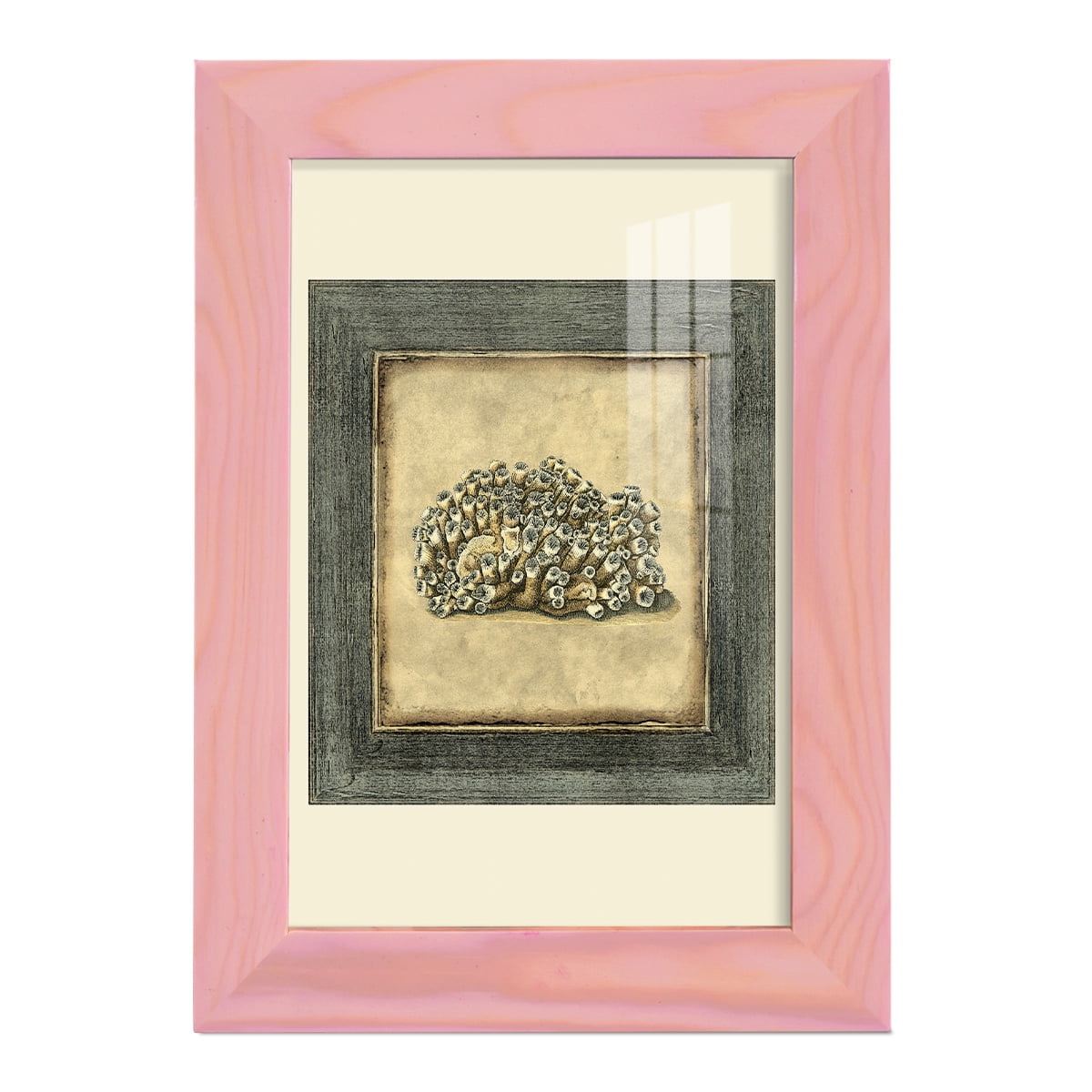 Mini Exotic Coral I (U) - Framed Print w/glass - Sunset Pink