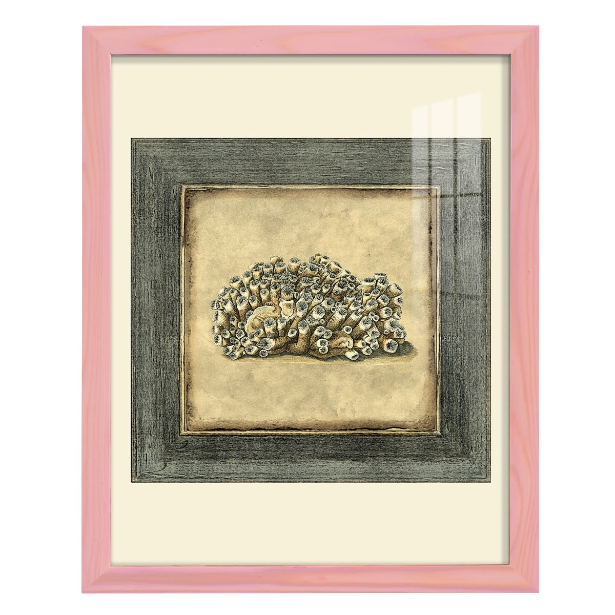 Mini Exotic Coral I (U) - Framed Print w/glass - Sunset Pink