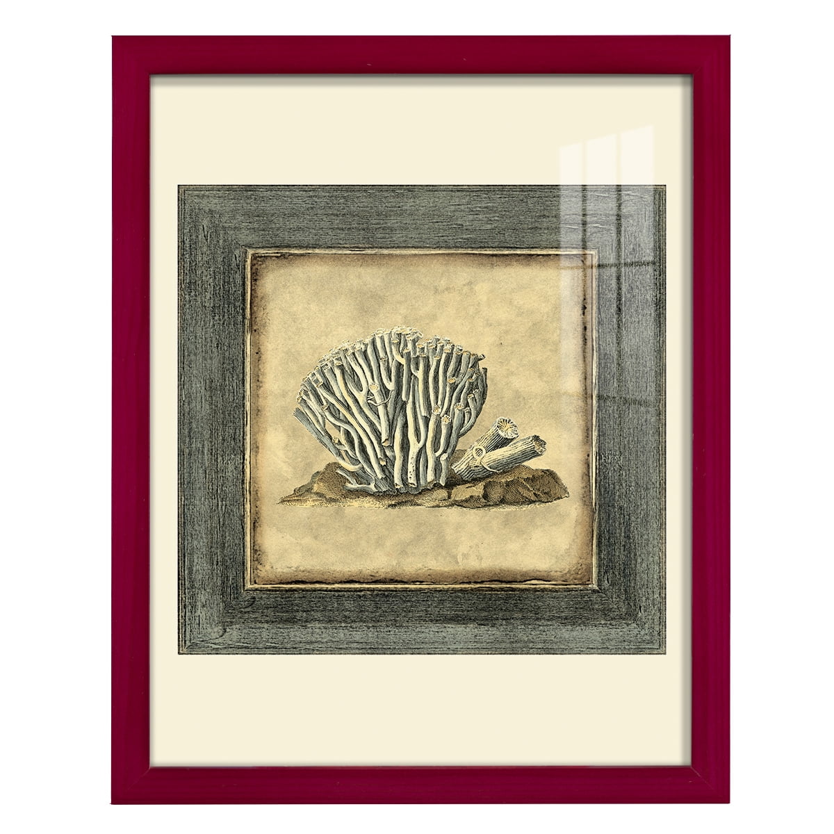 Mini Exotic Coral IX (U) - Framed Print w/glass - Cherry Red