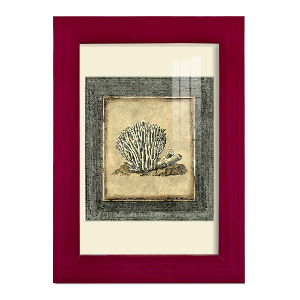 Mini Exotic Coral IX (U) - Framed Print w/glass - Cherry Red