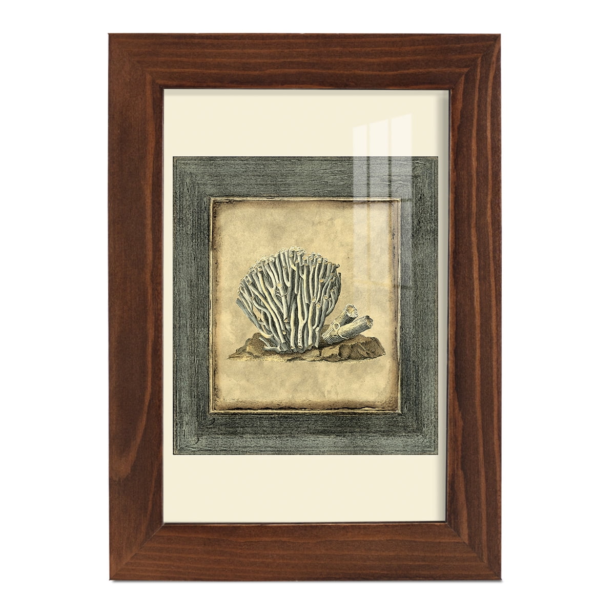 Mini Exotic Coral IX (U) - Framed Print w/glass - Chestnut