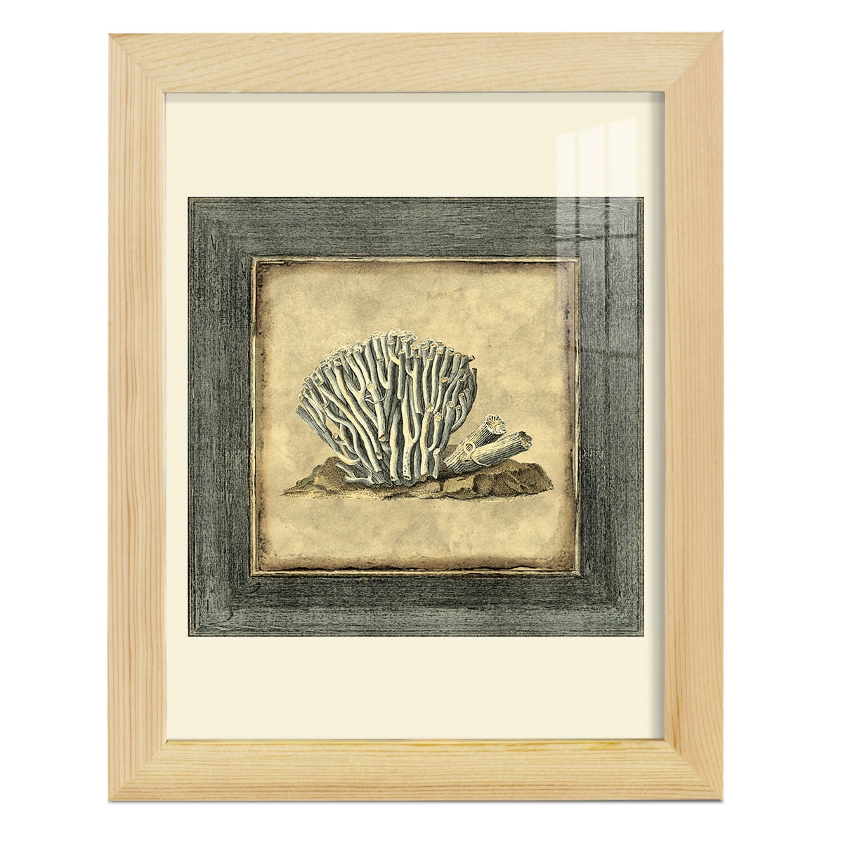 Mini Exotic Coral IX (U) - Framed Print w/glass - Natural Wood